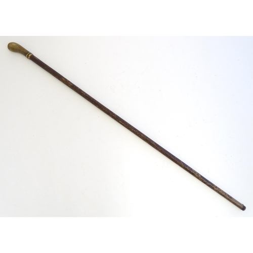 1470 - A 19thC walking cane / stick with horn handle. Approx. 35 1/4