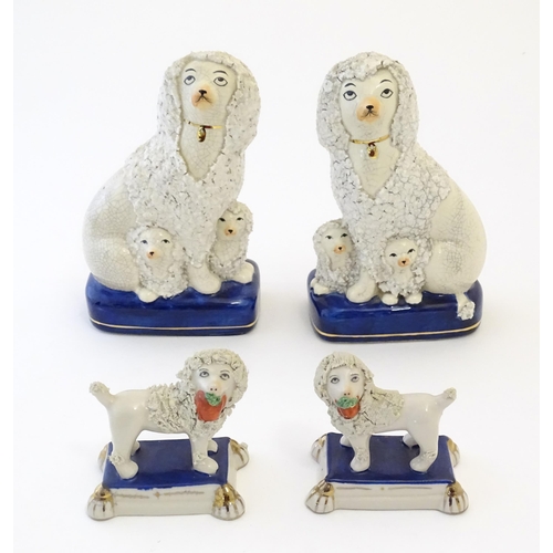 108 - A pair of Staffordshire pottery models of seated Poodle dogs with puppies, together with a pair of S... 