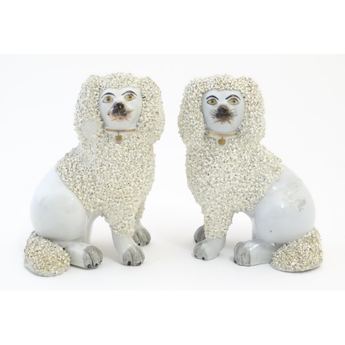 109 - A pair of Staffordshire pottery models of seated Poodle dogs with gilded collars. Approx. 5 1/2