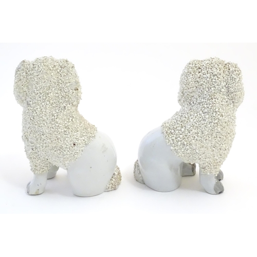 109 - A pair of Staffordshire pottery models of seated Poodle dogs with gilded collars. Approx. 5 1/2