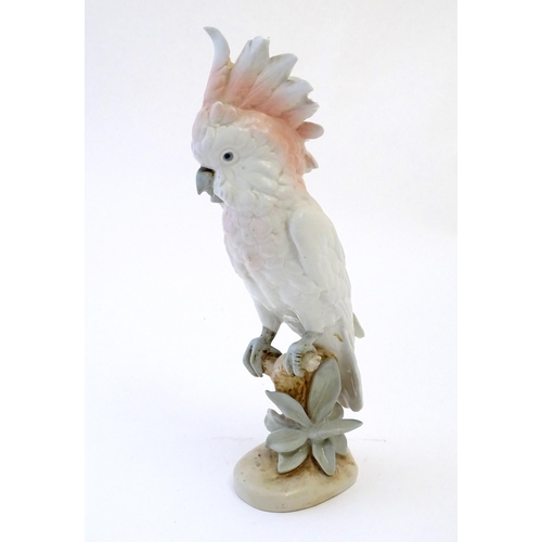 Lot 244       