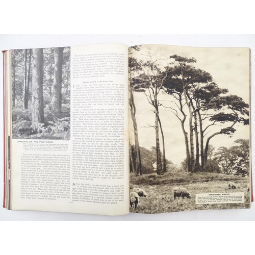 906 - Books: Outline of Nature in the British Isles, volumes 1 & 2, edited by John Hammerton. Together wit... 