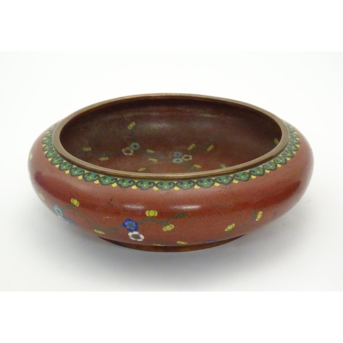 1033 - A Chinese cloisonne shallow bowl with floral and foliate detail. Approx. 3 1/4