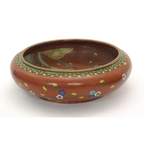 1033 - A Chinese cloisonne shallow bowl with floral and foliate detail. Approx. 3 1/4