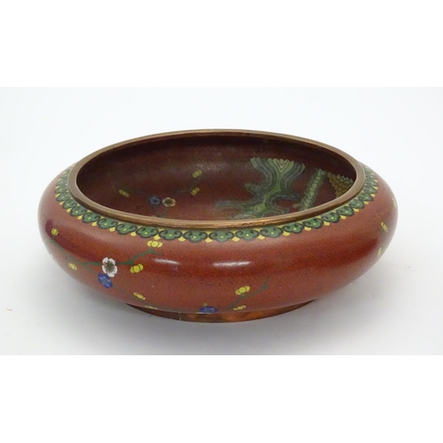 1033 - A Chinese cloisonne shallow bowl with floral and foliate detail. Approx. 3 1/4