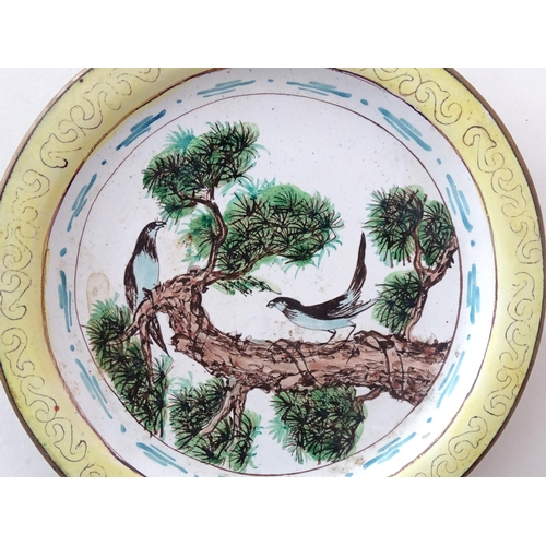 1034 - A Chinese / Cantonese famille jeune dish with enamel detail depicting two birds on a branch. Approx.... 