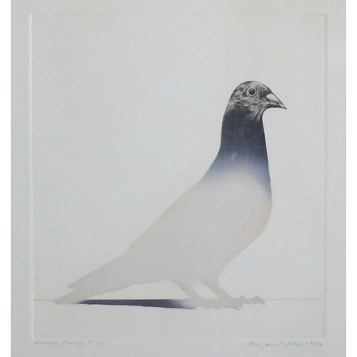 1698 - Bryan Organ (b. 1935), Limited edition lithograph / artist's proof, no. 5 / 14, Pigeon, Signed, titl... 