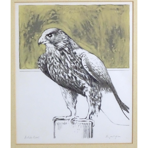 1699 - Bryan Organ (b. 1935), Limited edition lithograph / artist's proof, Hawk. Signed in pencil under and... 