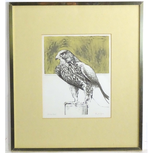 1699 - Bryan Organ (b. 1935), Limited edition lithograph / artist's proof, Hawk. Signed in pencil under and... 