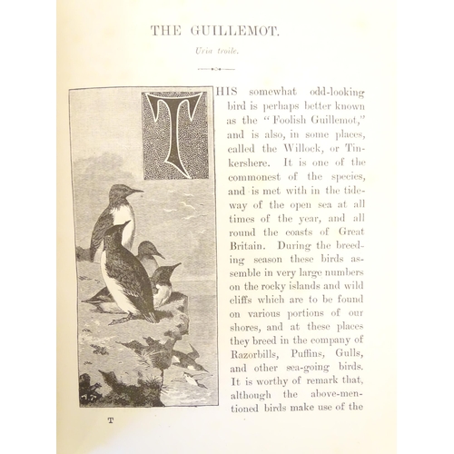 806 - Books: Familiar Wild Birds, Volumes 1 & 2, by W. Swayland, illustrated by A. Thorburn and others. Pu... 