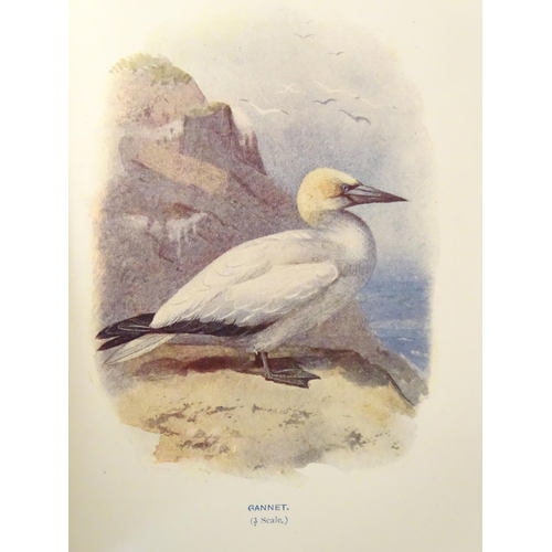 806 - Books: Familiar Wild Birds, Volumes 1 & 2, by W. Swayland, illustrated by A. Thorburn and others. Pu... 