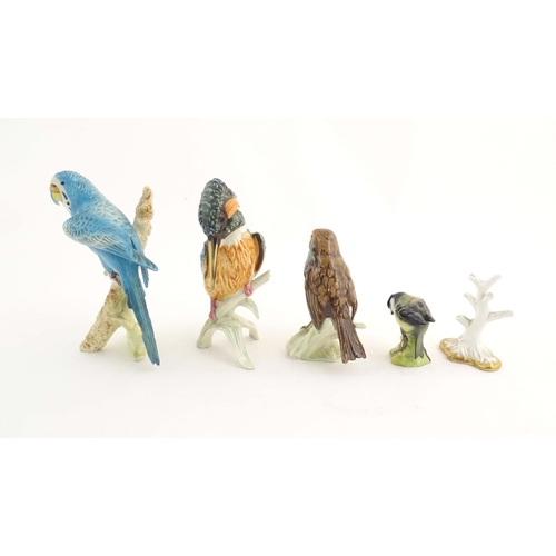 183 - Four assorted models of birds to include a Goebel model of a Budgerigar, no. 3851218, a Goebel Robin... 