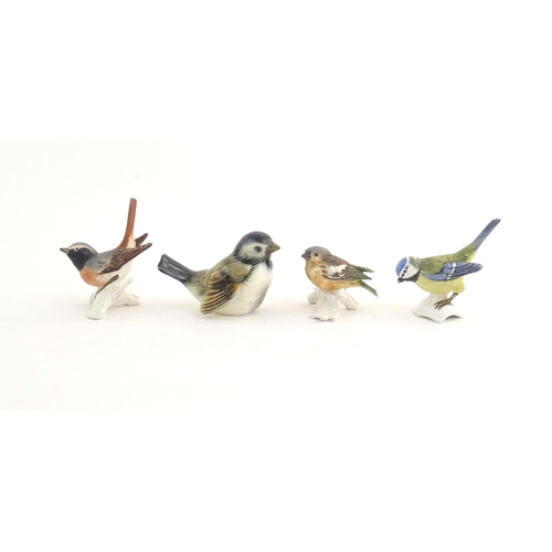 184 - A quantity of assorted Continental models of birds to include kingfisher, blue titmouse, firecrest, ... 