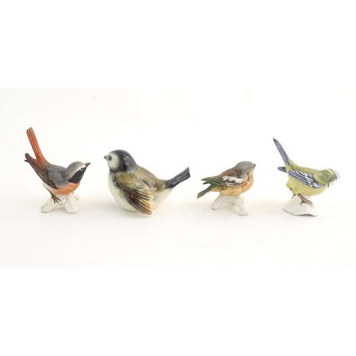 184 - A quantity of assorted Continental models of birds to include kingfisher, blue titmouse, firecrest, ... 