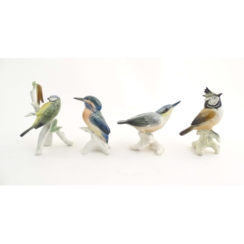 184 - A quantity of assorted Continental models of birds to include kingfisher, blue titmouse, firecrest, ... 