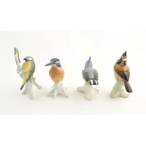 184 - A quantity of assorted Continental models of birds to include kingfisher, blue titmouse, firecrest, ... 