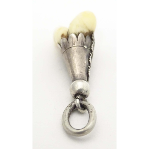 669 - A hunting trophy pendant set with a deers tooth within a white metal mount with oak leaf and acorn d... 