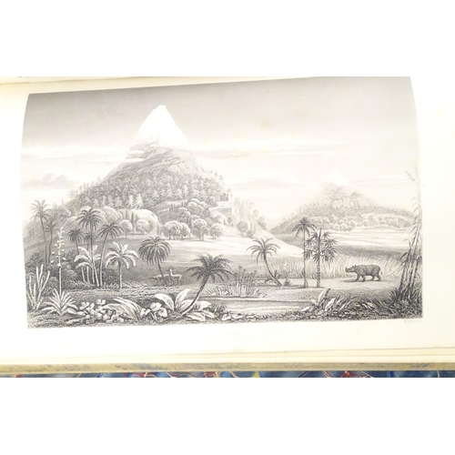 860 - Book: A History of the Vegetable Kingdom, by William Rhind. Published by Blackie & Son, 1866