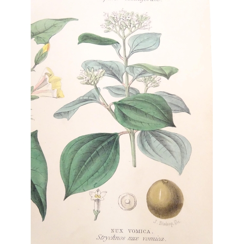 860 - Book: A History of the Vegetable Kingdom, by William Rhind. Published by Blackie & Son, 1866