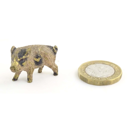 1011 - A cold painted bronze model of a pig / boar. Approx. 1