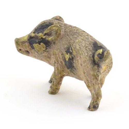 1011 - A cold painted bronze model of a pig / boar. Approx. 1