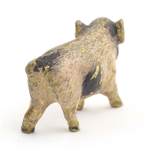 1011 - A cold painted bronze model of a pig / boar. Approx. 1