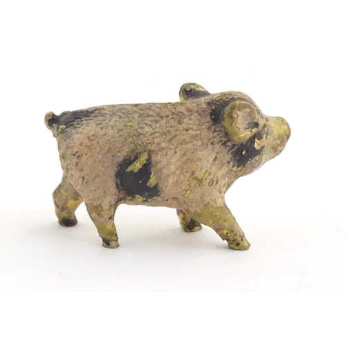 1011 - A cold painted bronze model of a pig / boar. Approx. 1