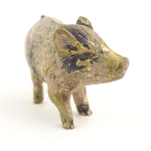 1011 - A cold painted bronze model of a pig / boar. Approx. 1