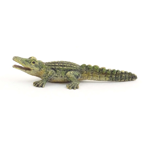 1012 - A cold painted bronze model of a crocodile / alligator. Approx. 2