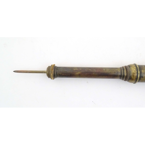 1115 - An early 20thC garden spike / weedkiller syringe, of brass construction and formed as a walking cane... 