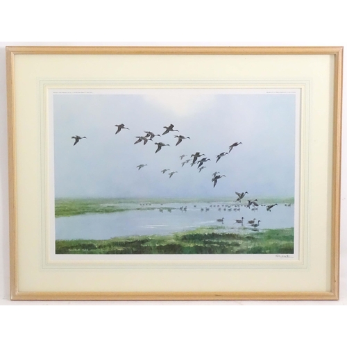 1685 - After Peter Scott (1909-1989), Signed colour print, Pintails on a Hazy Day. Signed in pencil under. ... 