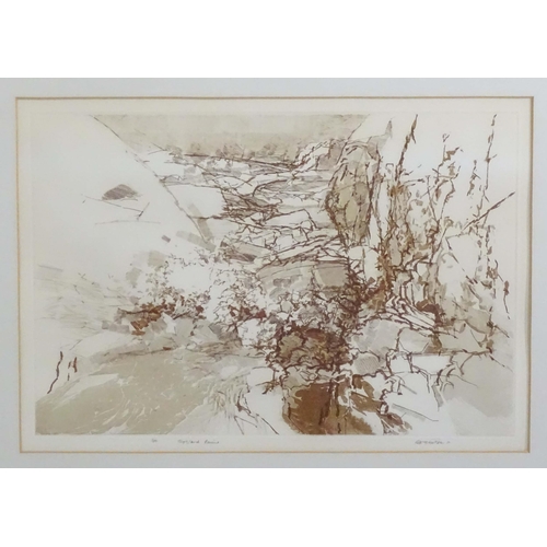 1689 - Pete Manners, 20th century, Limited edition etching, Highland Ravine. Signed, dated (19)81, titled a... 