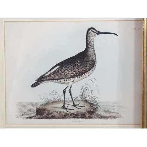 1694 - After Prideaux John Selby (1788-1867), 19th century, Five hand coloured ornithological / bird prints... 