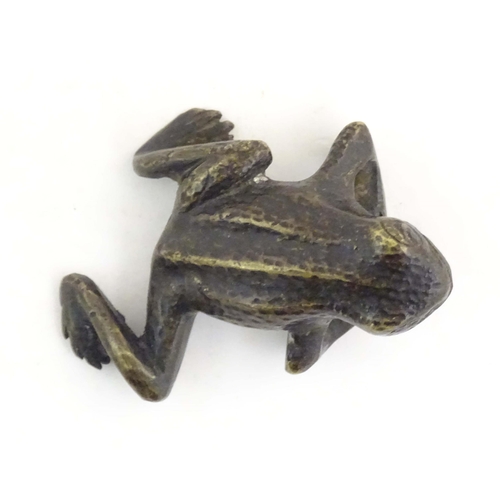 1010 - A cold painted bronze model of a frog / toad. Approx. 2