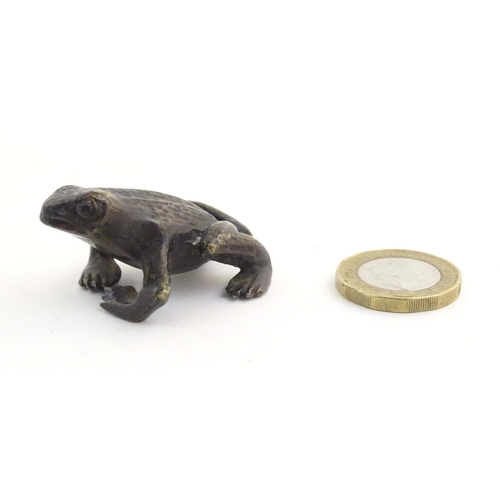 1010 - A cold painted bronze model of a frog / toad. Approx. 2