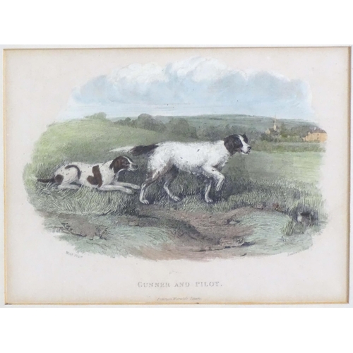 58 - H. Beckwith, 19th century, Hand coloured engravings, Gunner and Pilot, and Setter & Pointer in the F... 