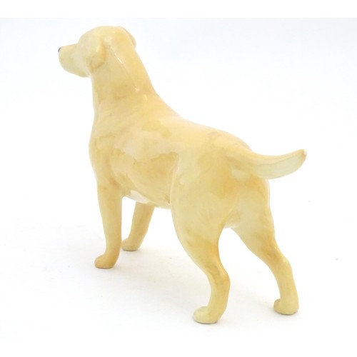 97 - A Beswick model of a Yellow Labrador, no. 2287. Together with a model of a Golden Retriever. Marked ... 