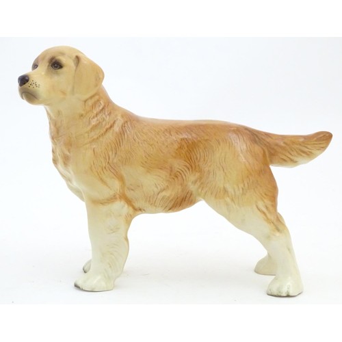 97 - A Beswick model of a Yellow Labrador, no. 2287. Together with a model of a Golden Retriever. Marked ... 