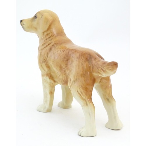 97 - A Beswick model of a Yellow Labrador, no. 2287. Together with a model of a Golden Retriever. Marked ... 