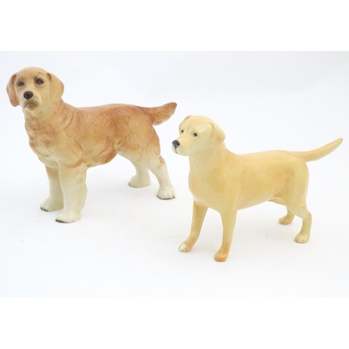 97 - A Beswick model of a Yellow Labrador, no. 2287. Together with a model of a Golden Retriever. Marked ... 