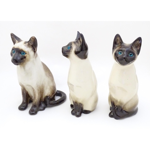 1749 - Three Winstanley models of seated Siamese cats with blue eyes. Each marked under, and numbered 3 / 3... 