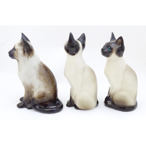 1749 - Three Winstanley models of seated Siamese cats with blue eyes. Each marked under, and numbered 3 / 3... 