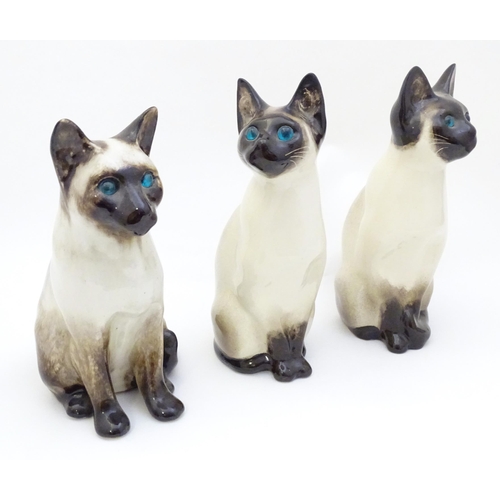 1749 - Three Winstanley models of seated Siamese cats with blue eyes. Each marked under, and numbered 3 / 3... 