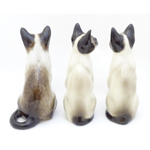 1749 - Three Winstanley models of seated Siamese cats with blue eyes. Each marked under, and numbered 3 / 3... 