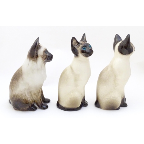 1749 - Three Winstanley models of seated Siamese cats with blue eyes. Each marked under, and numbered 3 / 3... 