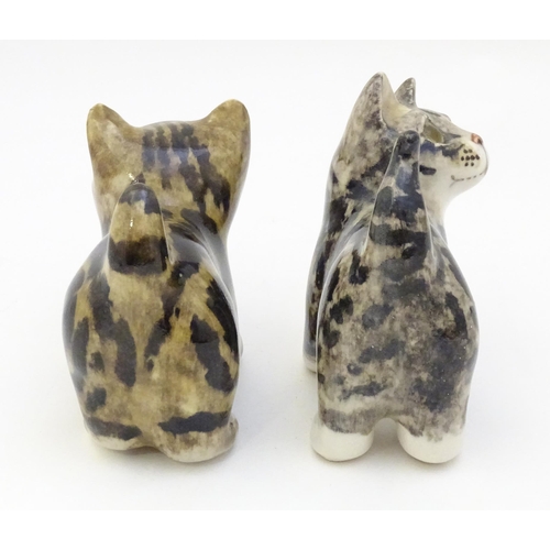 1751 - Two Winstanley models of Tabby kittens / cats. Each marked under. Largest approx. 14 1/4