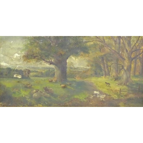 1085 - J. Marshall, Early 20th century, Oil on canvas, A landscape scene with sheep grazing. Signed and dat... 