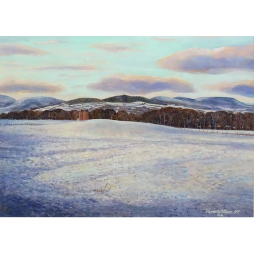 1106 - Elizabeth Wilson, Oil on card, A Scottish winter Highland landscape. Signed and dated 1997 lower rig... 