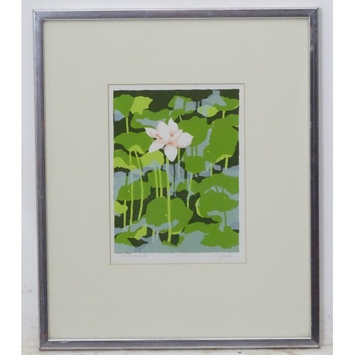 181 - J Heath, 1979, Limited edition screen print, no. 8/12, Waterlilies, Signed, numbered and titled unde... 