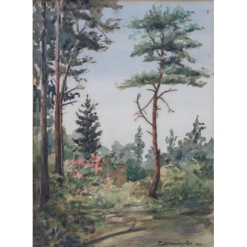 195 - F. C. Warrington, 20th century, Watercolour, A wooded landscape scene. Signed and dated 1921 lower r... 